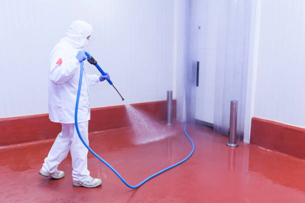 Best Building Exterior Pressure Washing in Deville, AL