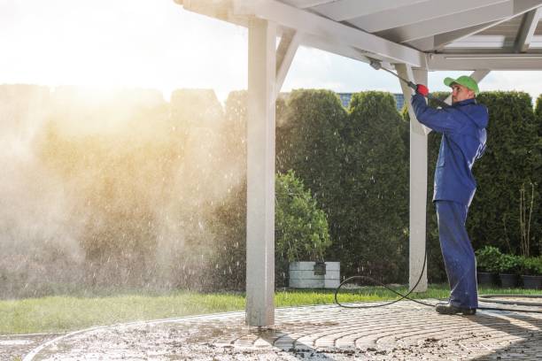 Best Sidewalk and Walkway Pressure Cleaning in Deville, AL