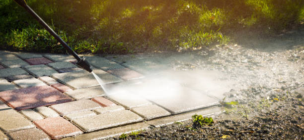 Trusted Daleville, AL Pressure Washing Services Experts
