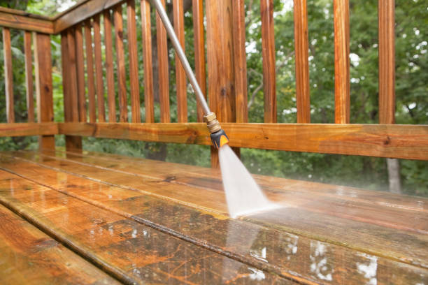 Best Soft Washing for Delicate Surfaces in Deville, AL